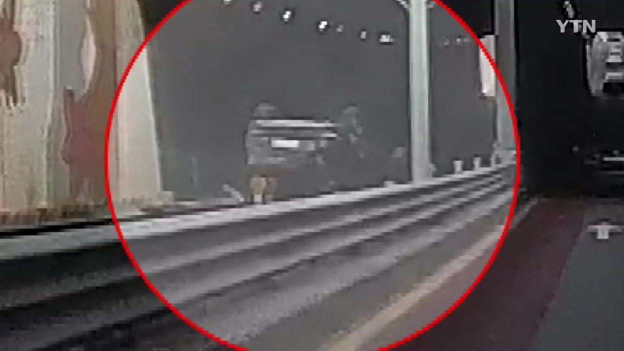 지하차도 아래로 승용차 추락...운전자 다쳐 / YTN