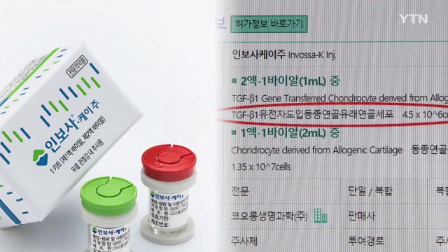'인보사' 투여 환자들, 이달 중 집단 소송 / YTN