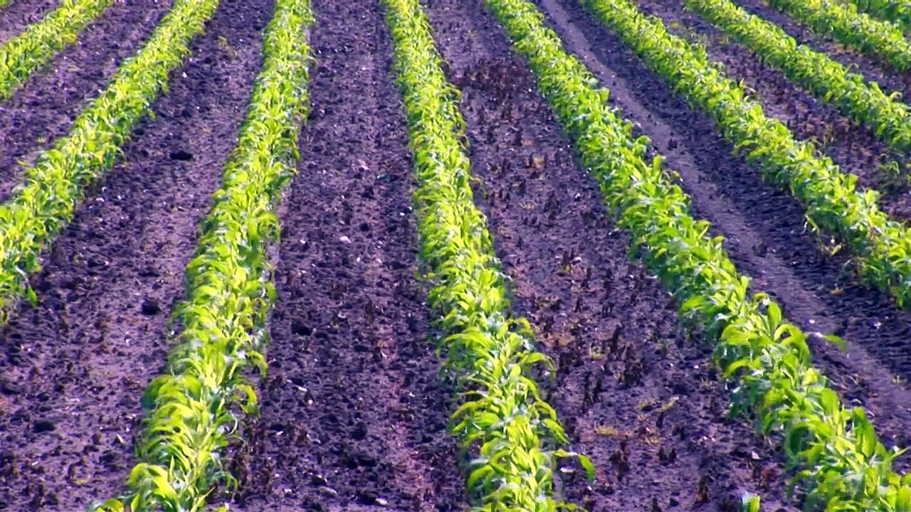 Hunt for U-479 Episode 2 (World War 2 Documentary) | Timeline