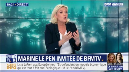 Marine Le Pen assure vouloir faire le maximum pour que "les inconvénients de l'euro soient les moins importants possible"