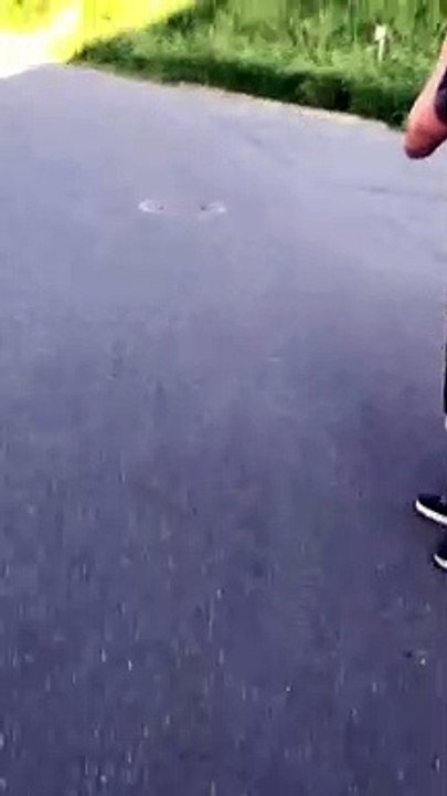 DRACHENLORD ALS BRÜLLAFFE (Besuch vom 02.06.2018)