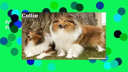 Full version  Collie (Square)  For Kindle