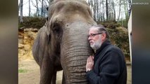 رد فعل مؤثر لفيل يلتقي بمدربه بعد 35 عاماً من الغياب