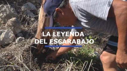 Escarabajo vivo y enjoyado, símbolo del amor maya