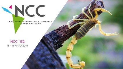 Noticiero Científico y Cultural Iberoamericano, emisión  132. 13 al 19 de mayo 2019.