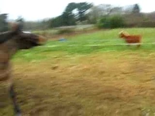 King attaque Tonerre