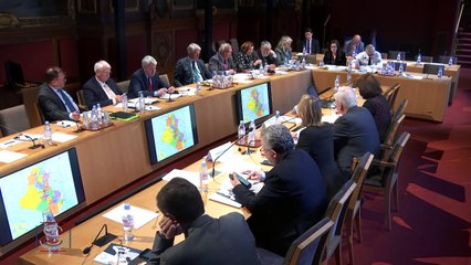 Audition plénière de Mme Myriam Benraad sur les enjeux et les perspectives de la reconstruction de l'Irak 3 avril 2019