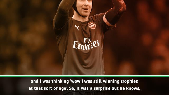 Seaman and Gudjohnsen pay tribute to Premier League 'great' Cech