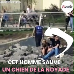 Un homme plonge par dessus le pont de Brooklyn pour sauver une chienne