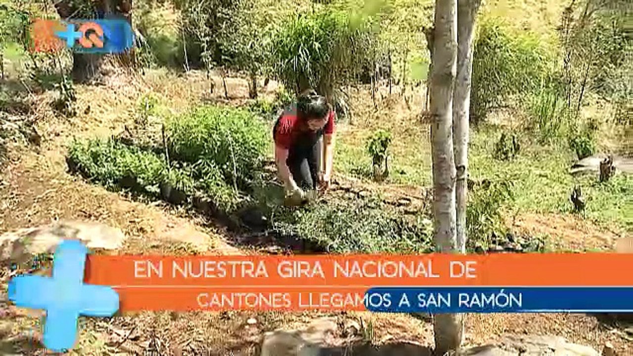 +QN 08 Mayo 2019