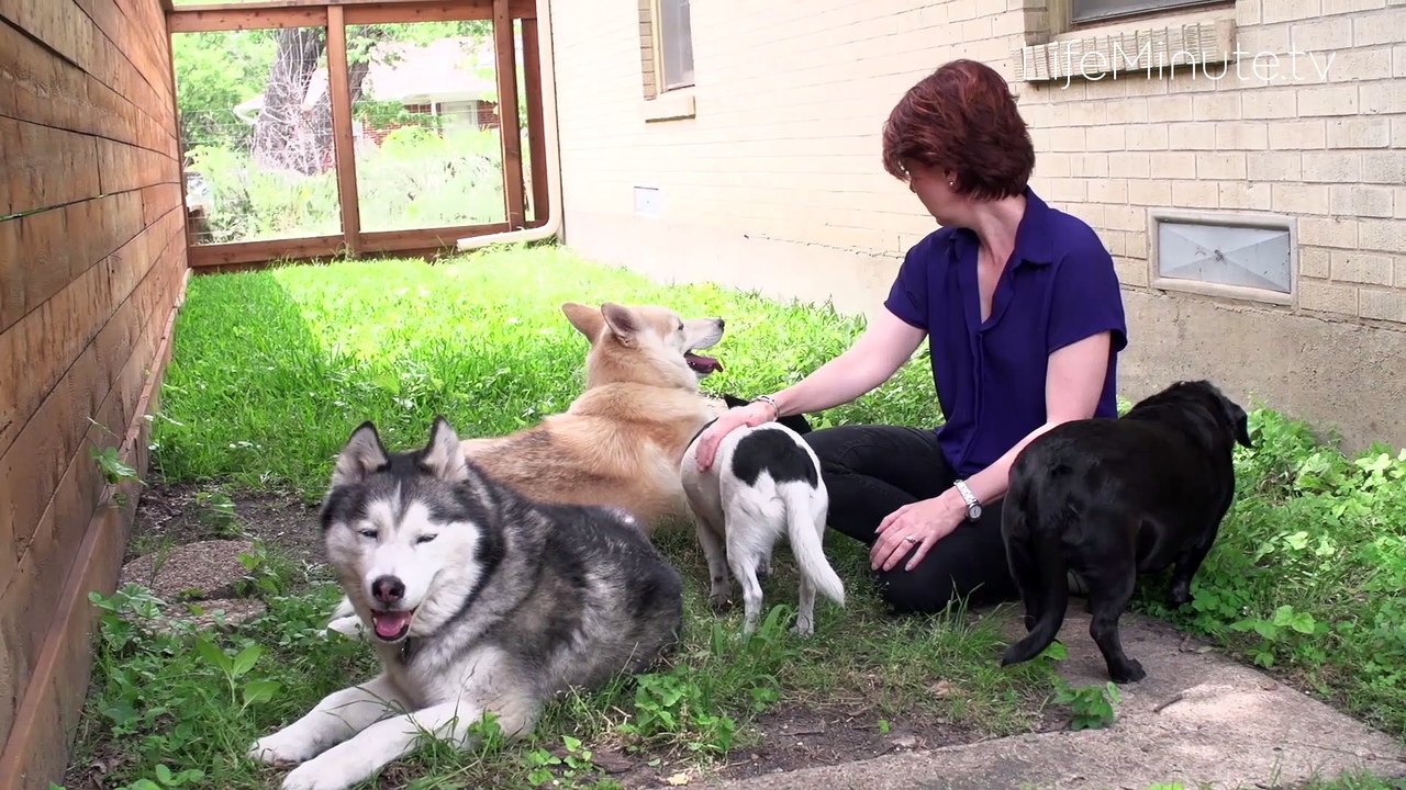 New App for Pet Lovers