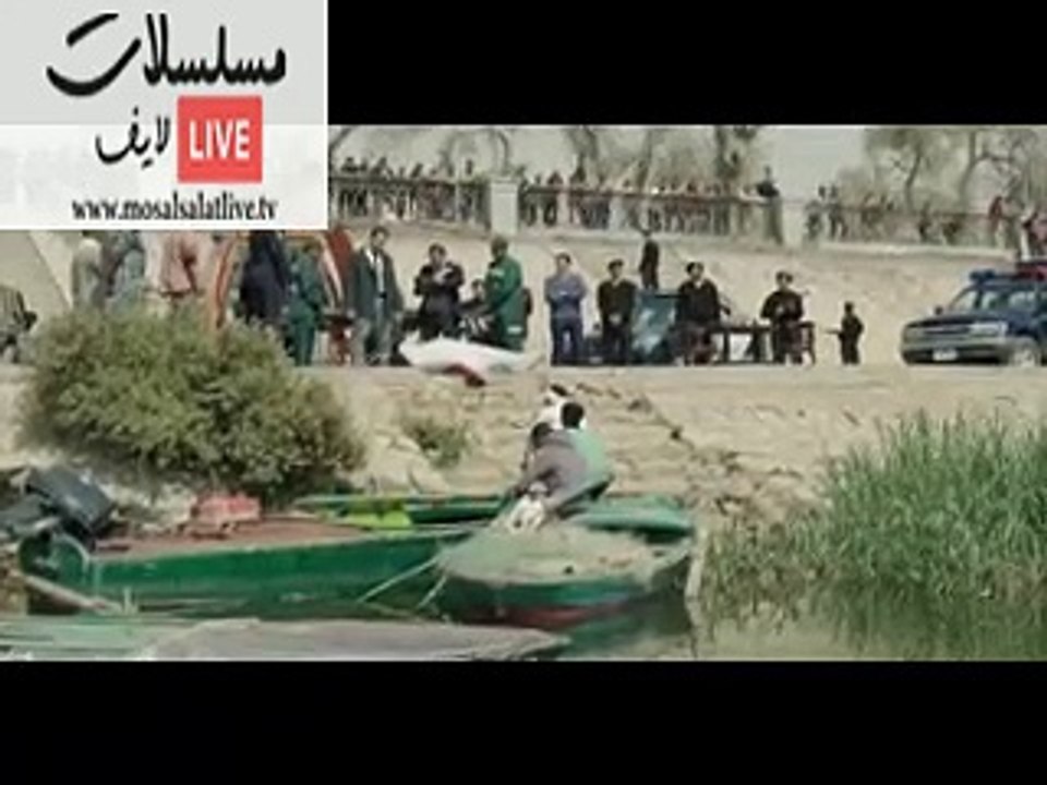 zy4