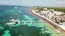 Sargazo, una amenaza que cubre las playas del Caribe mexicano