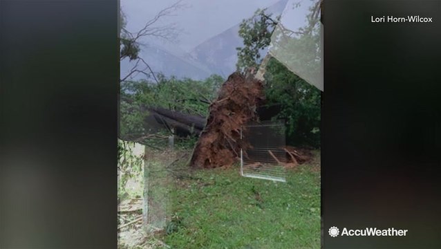 Structural damage and trees down in Longview, Texas