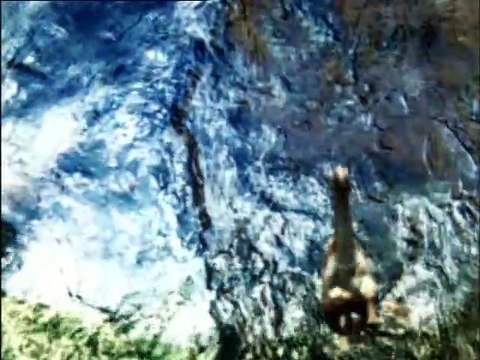 6 - BBC - CAMINHANDO COM AS FERAS - A VIAGEM DO MAMUTE