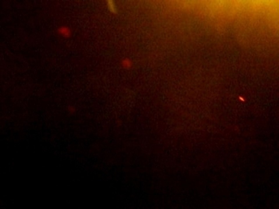 Narko vs Weasel buster 12/01/08 aiguebelette