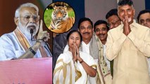 Lok Sabha Election 2019 : మమతకు అహంకారం అని మోదీ..  కాదు బెంగాల్ టైగర్ అని బాబు ! | Oneindia Telugu