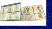 About For Books  Anatomy 2 - Reference Guide (8.5 x 11) (Quickstudy: Academic)  Best Sellers Rank