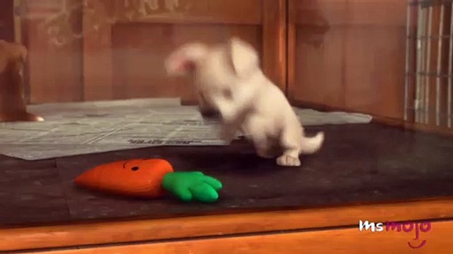 온라인성인게임(￢VMF25.COM￢)예스카지노