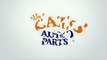 Buy Used Auto Parts & Junk Cars In Chicago, IL