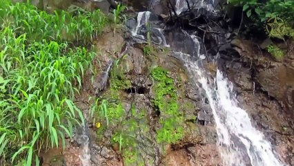 TAMHINI GHAT - ONE DAY ROAD TRIP