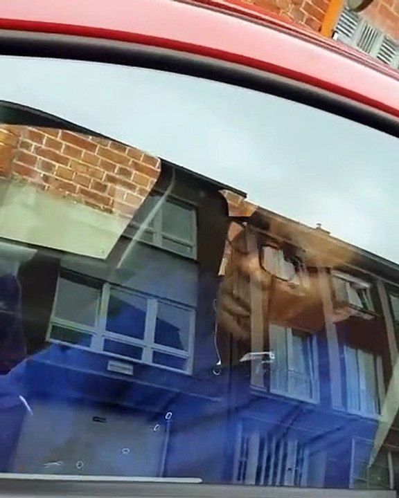 Vidéos drôles ✪rue drôle✪Dernières vidéos ✪2019