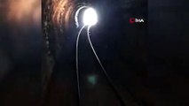 Tünele giren yaban keçileri trenin altında kalmaktan son anda kurtuldu