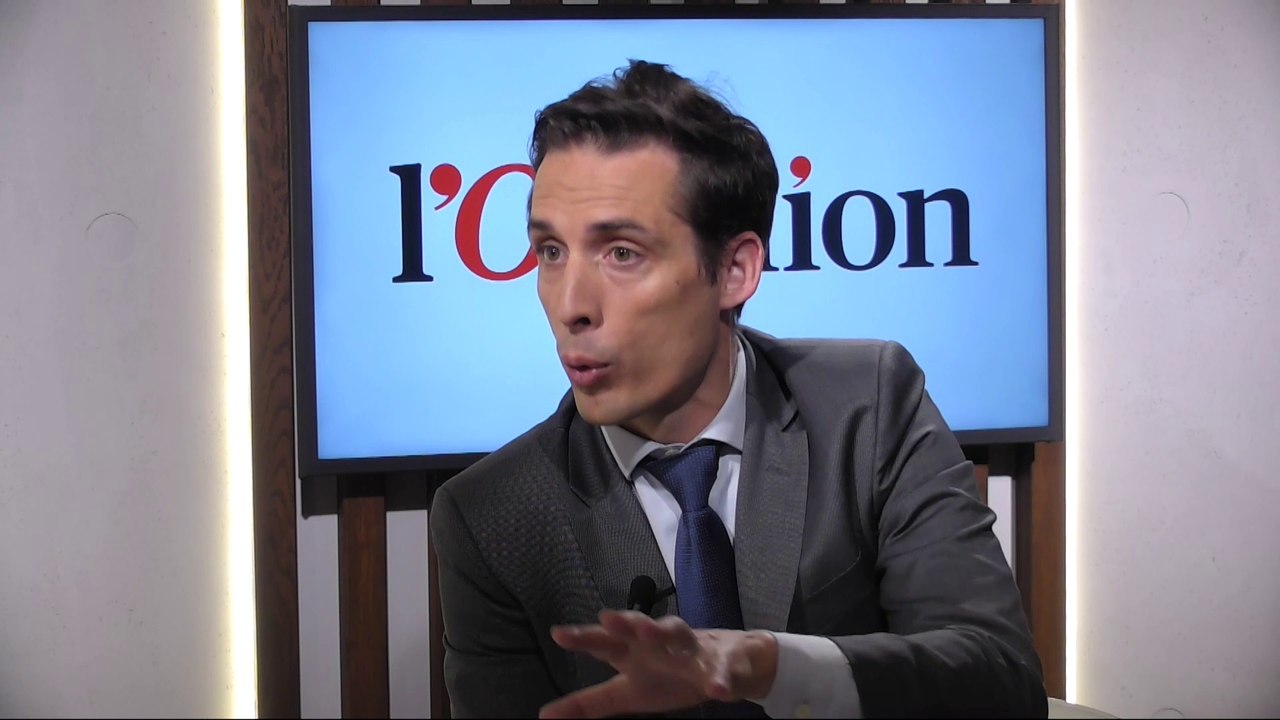 Vers une alliance avec les écologistes au niveau européen? Jean-Baptiste Djebbari (LREM) répond