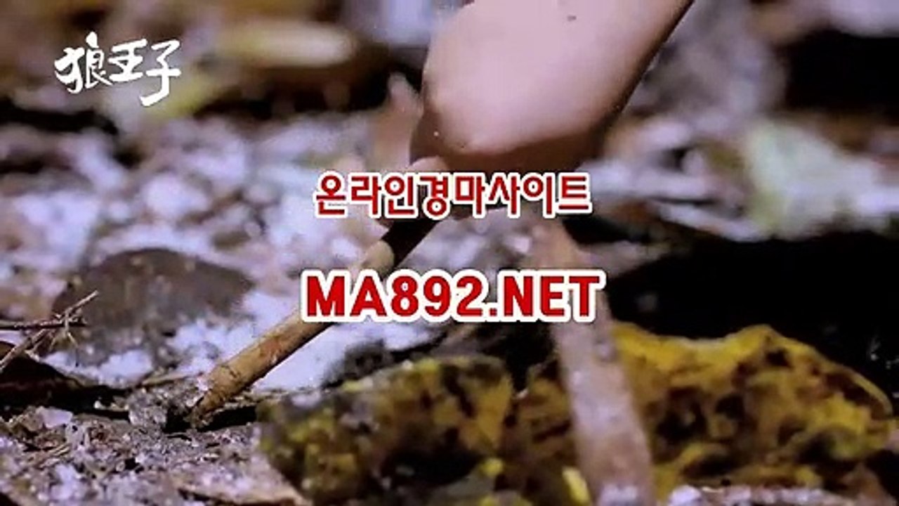 검빛경마 MA892NET
