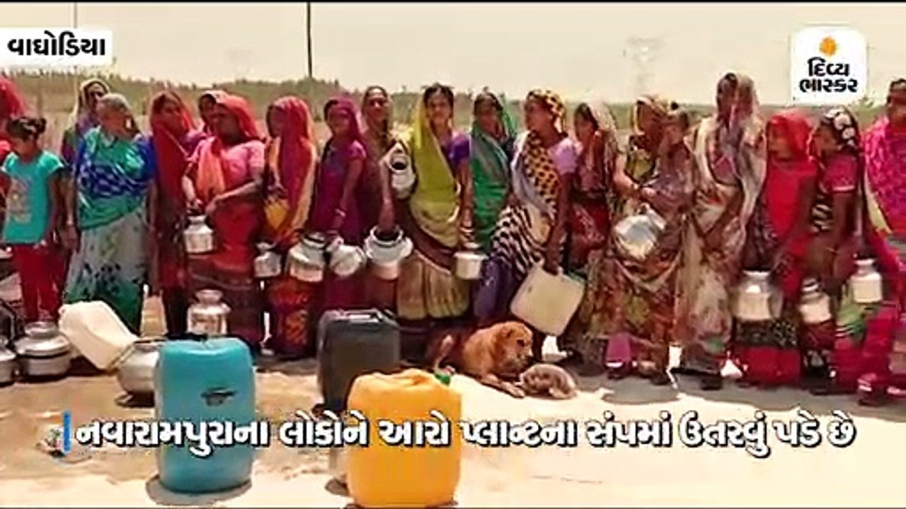 આજવા ડેમના આરો પ્લાન્ટના સંપમાં ઉતરી લોકો જીવના...