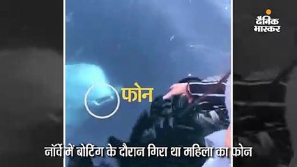 व्हेल ने महिला का समुद्र में गिरा फोन लौटाया