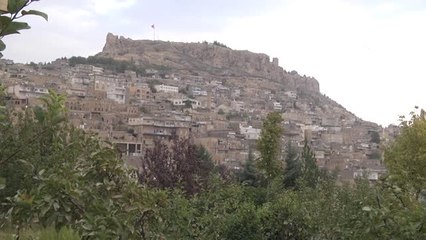 Güneydoğu Çiftçisinin Yüzü Yağmurla Güldü