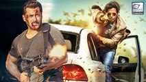 Salman Khan & Hrithik Roshan Start Shooting For A Spy Thriller
