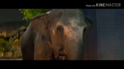 Total dhamaal movie official trailer/Fun 4 U/entertainment.