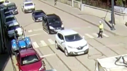 Yaya geçidini kullanan kedi videosu ilgi gördü - GİRESUN