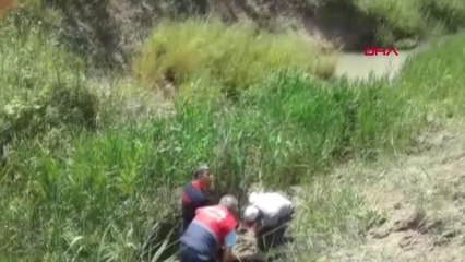 Mersin Kayıp İnek, Düştüğü Bataklıktan Kurtarıldı