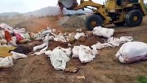 Gaziantep'te 2,5 ton küflenmiş kırmızıbiber ele geçirildi
