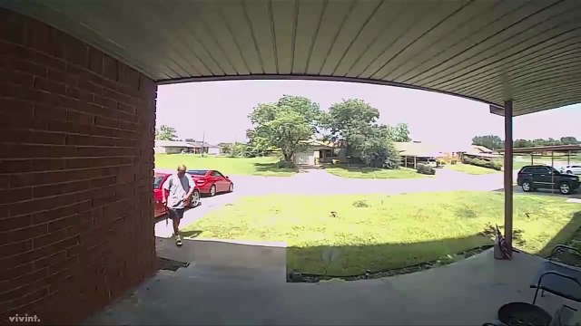 Un serpent attaque un homme après avoir sonné à la sonnette