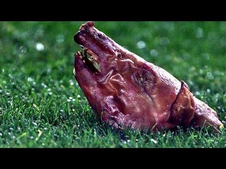 Futbol Sahalarına Atılan İNANILMAZ 8 Cisim (Yabancı Madde)