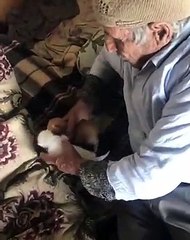 Yavru Kedileri Tüm Samimiyetiyle Besleyen 90 Yaşındaki Haydar Dede