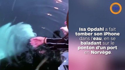 Un béluga rend un iPhone tombé à l’eau lors d’une balade sur le port !