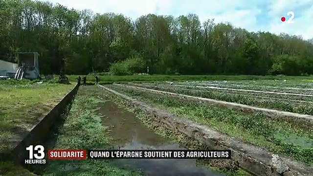 Solidarité : un financement participatif pour l'installation des jeunes agriculteurs