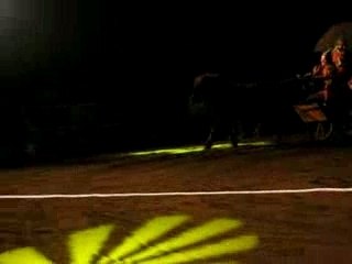 Spectacle de Questembert du 22 decembre