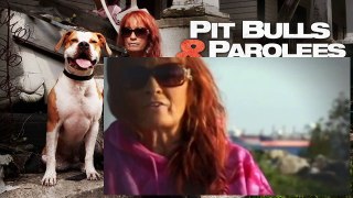 Pit Bulls And Parolees S04E15