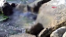 Üsküdar'da Sahilde Kayaların Arasına Sıkışmış Bir Erkek Cesedi Bulundu