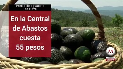 ¡Aguacate se vende hasta en 70 pesos en México!