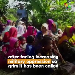 Rohingya Violinist Finds Solace In Playing Again