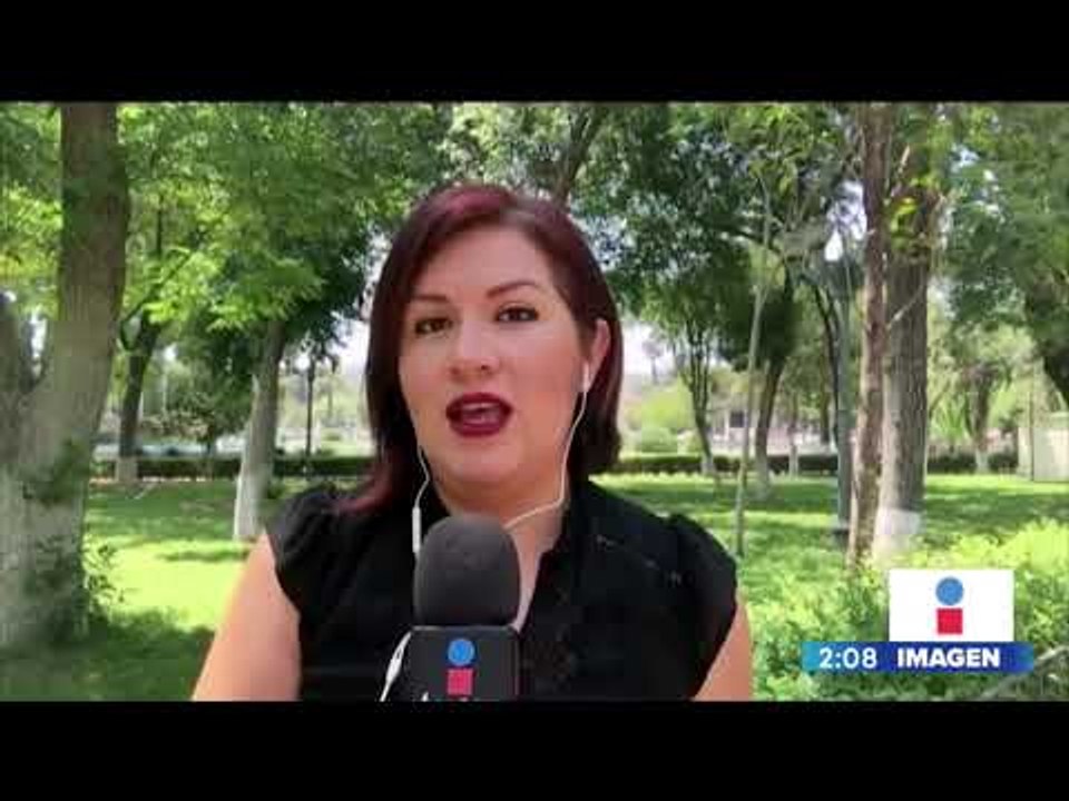 Trabajan en identificación de los cuerpos de las 13 víctimas del accidente aéreo en Coahuila