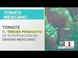 Tomates mexicanos pagarán un nuevo arancel a Estados Unidos | Noticias con Francisco Zea