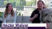 Consejos y cuidados de los perros con Héctor Walvor 2